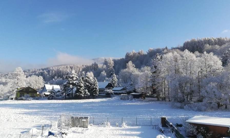 Loučná nad DesnouApartman 21公寓 外观 照片
