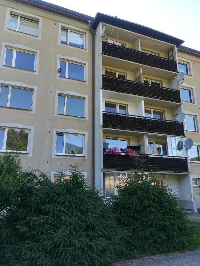 Loučná nad DesnouApartman 21公寓 外观 照片
